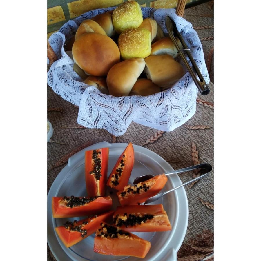 Toca Do Tato